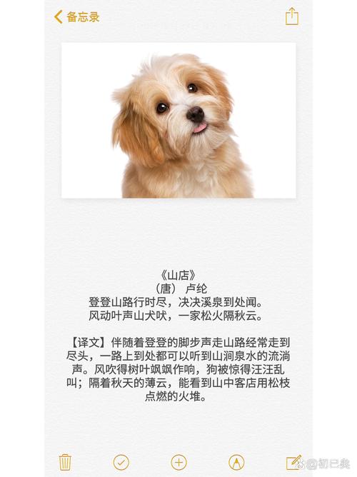 狗的文言文，狗的文化地位