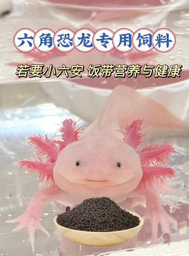 养六角蝾螈犯法吗，六角蝾螈是保护动物，养卖需批准，违法严惩