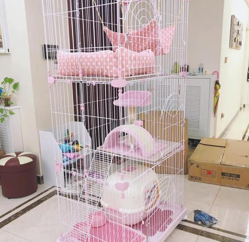 猫笼子可以经常变位置吗，别老动猫笼，多陪它，帮它适应