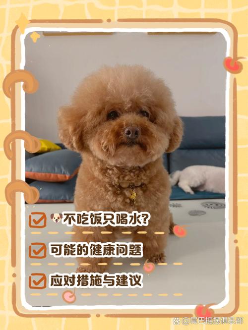 狗几个小时不喝水没事，狗狗缺水很危险，注意观察及时补水！