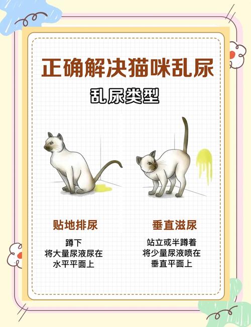 猫上厕所前为什么要叫,猫咪上厕所前叫?别烦,它有话要说! 猫上厕所前为什么要叫,猫咪上厕所前叫?别烦,它有话要说!