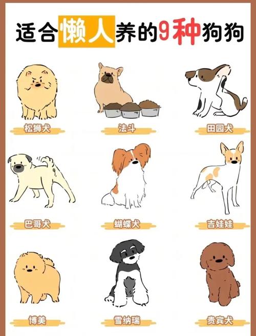 养狗的麻烦都有哪些,养狗虽麻烦,但很暖心,回忆满满! 养狗的麻烦都有哪些,养狗虽麻烦,但很暖心,回忆满满!