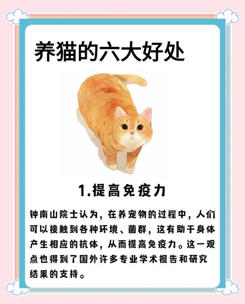 大学能不能养猫,大学生宿舍养猫,需谨慎考虑责任 大学能不能养猫,大学生宿舍养猫,需谨慎考虑责任