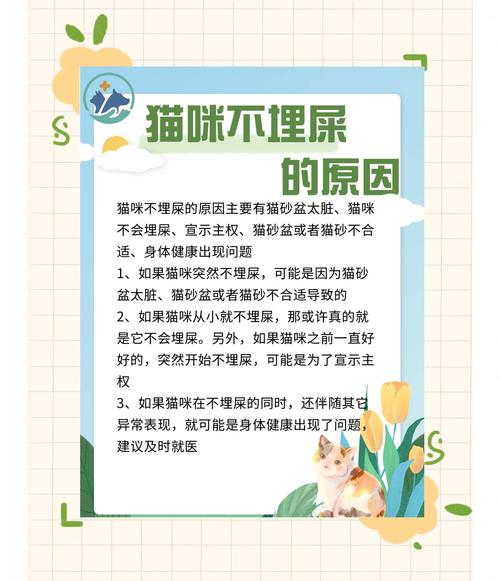 猫死了应该怎么处理玄学，养猫有灵性？道理解释猫咪离世与转世