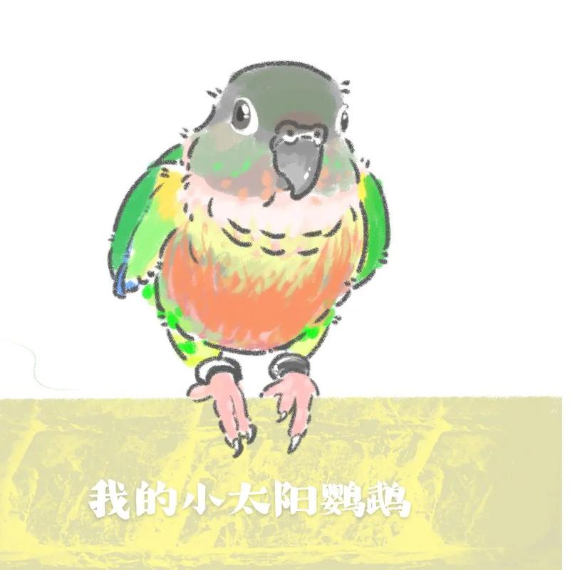 好看的鹦鹉头像，紫色羽毛，歪头杀，天使般宠物！