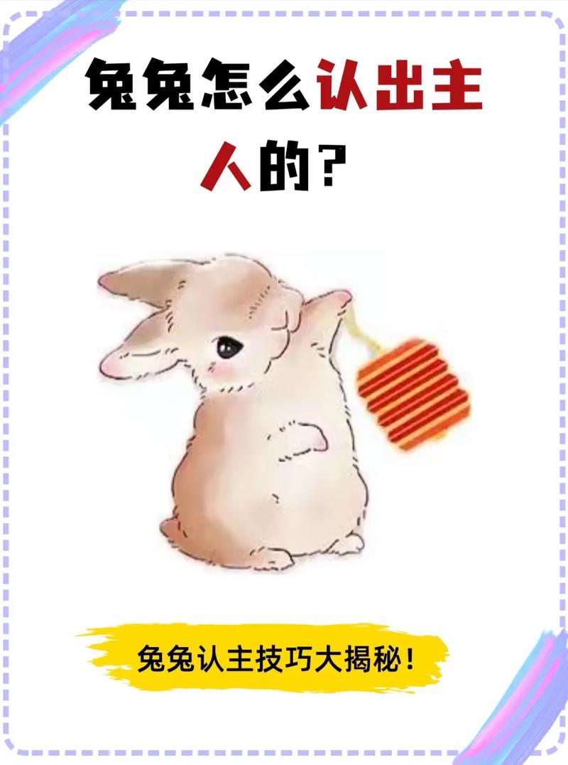 兔子临终前会提醒主人吗，兔子临终前行为变化，提醒主人多陪伴