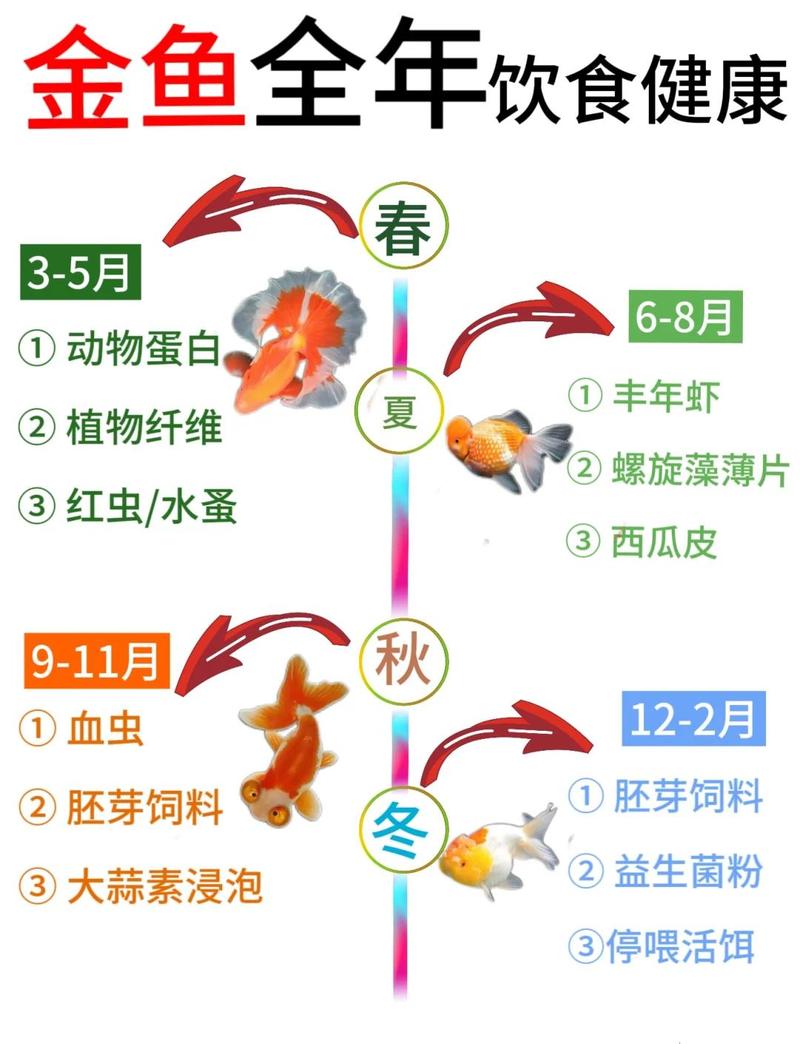 小缸观赏鱼几天喂一次，看水质鱼反应，少喂勤喂鱼才健康