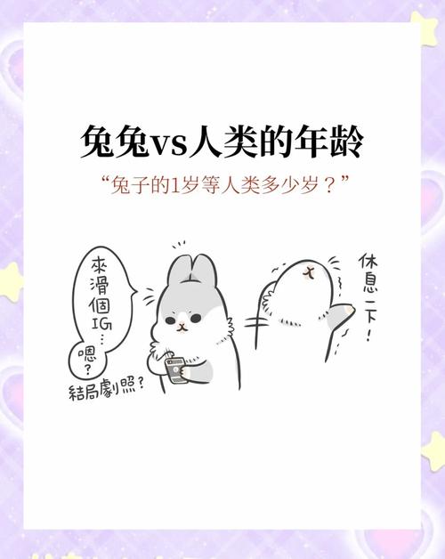 兔子活了5年算人类的几岁,兔子老了像人一样,寿命不同需关爱 兔子活了5年算人类的几岁,兔子老了像人一样,寿命不同需关爱