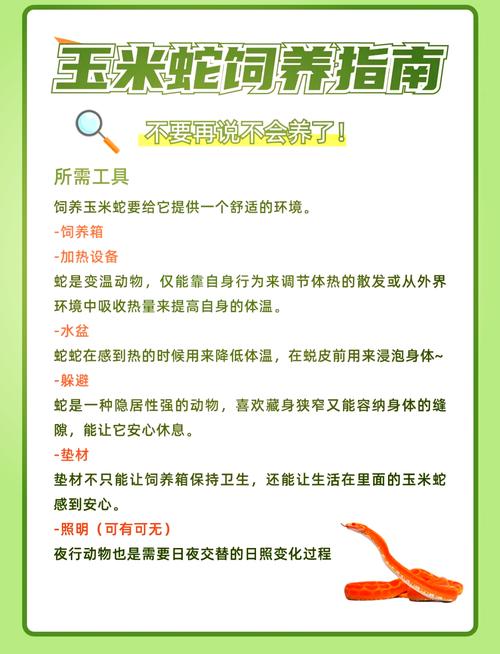 养蛇怎么找销路，卖蛇先找对客户，网上视频讲好价，售后养法有责任