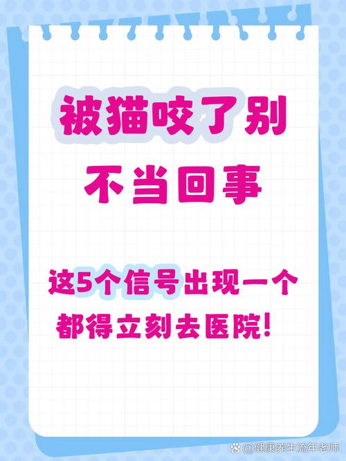 被猫咬后怎样确定人没事，猫咬了别慌？看情况快处理！