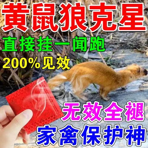 养鸡场怎么驱赶黄鼠狼，黄鼠狼偷鸡怎么办？