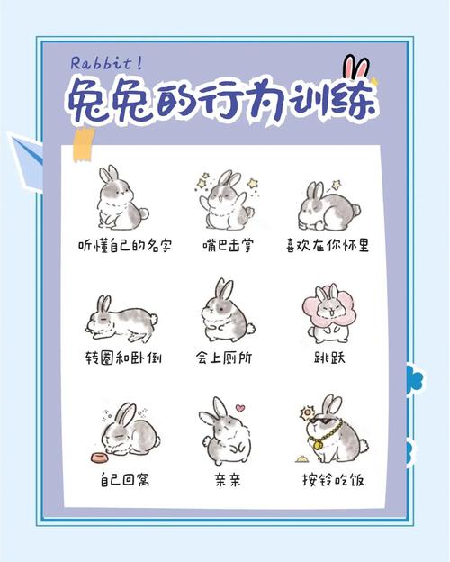 兔子生活习惯,萌兔三瓣嘴,全球跑得欢,超适应! 兔子生活习惯,萌兔三瓣嘴,全球跑得欢,超适应!