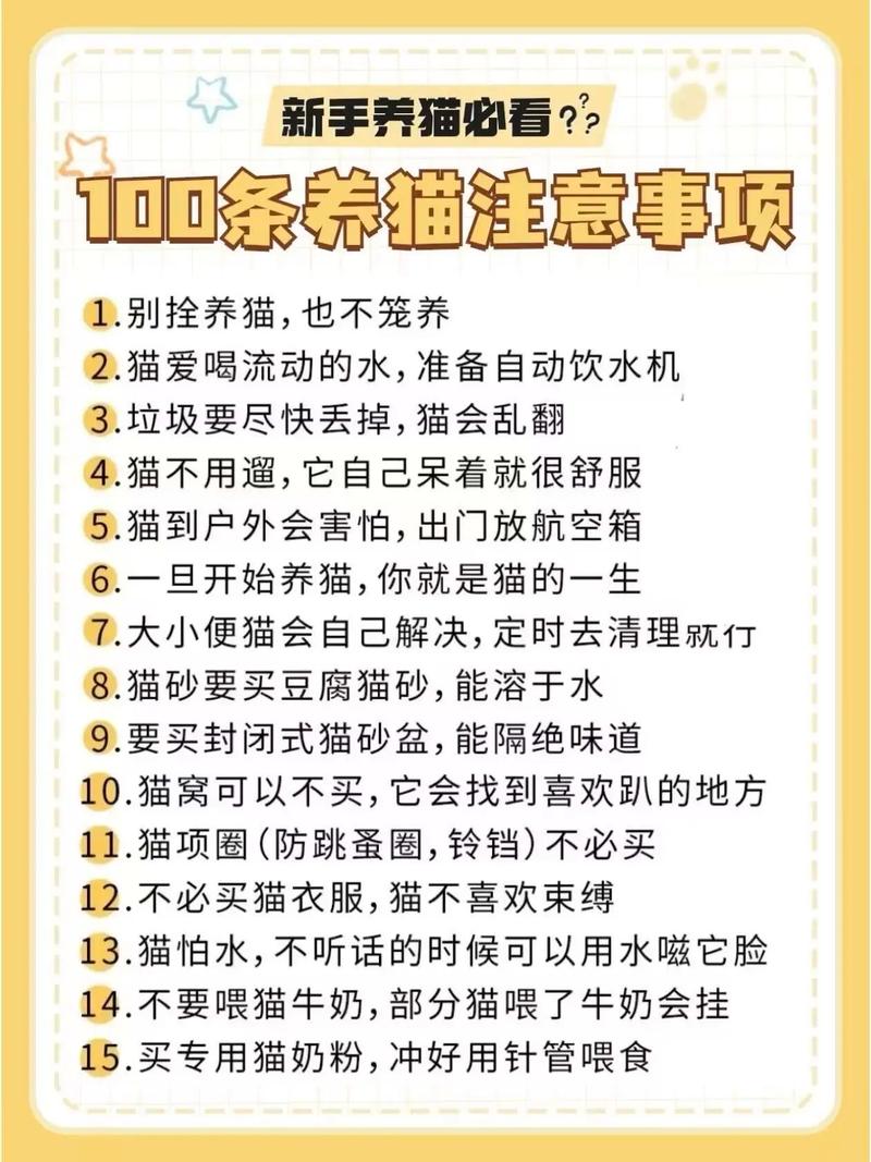 一楼养猫可以散养吗，一楼养猫散养好还是不好？需考虑安全健康