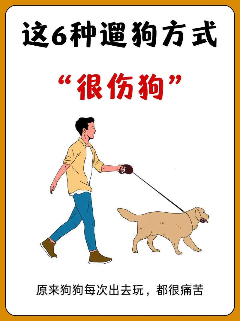 不想遛狗只想室内养狗，想在家养狗又不想出门遛狗？
