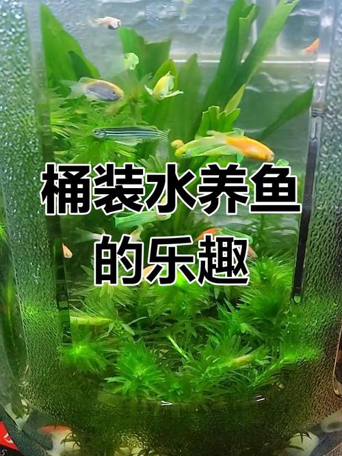 桶装水能养鱼吗，养鱼用水有讲究，自来水困一下最好