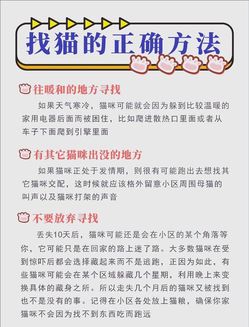 猫丢了三天怎么找最有效，走丢猫别追，放零食玩具它自来