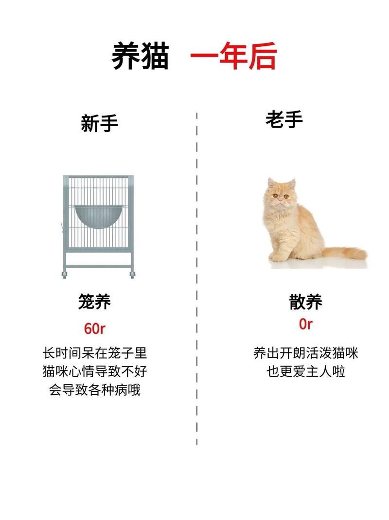 月薪多少适合养猫,工资多少决定养啥猫? 月薪多少适合养猫,工资多少决定养啥猫?