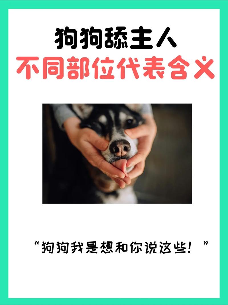 舔狗是指男生还是女生，舔狗不只是男人追女人，不分男女都可能是付出太多回报太少